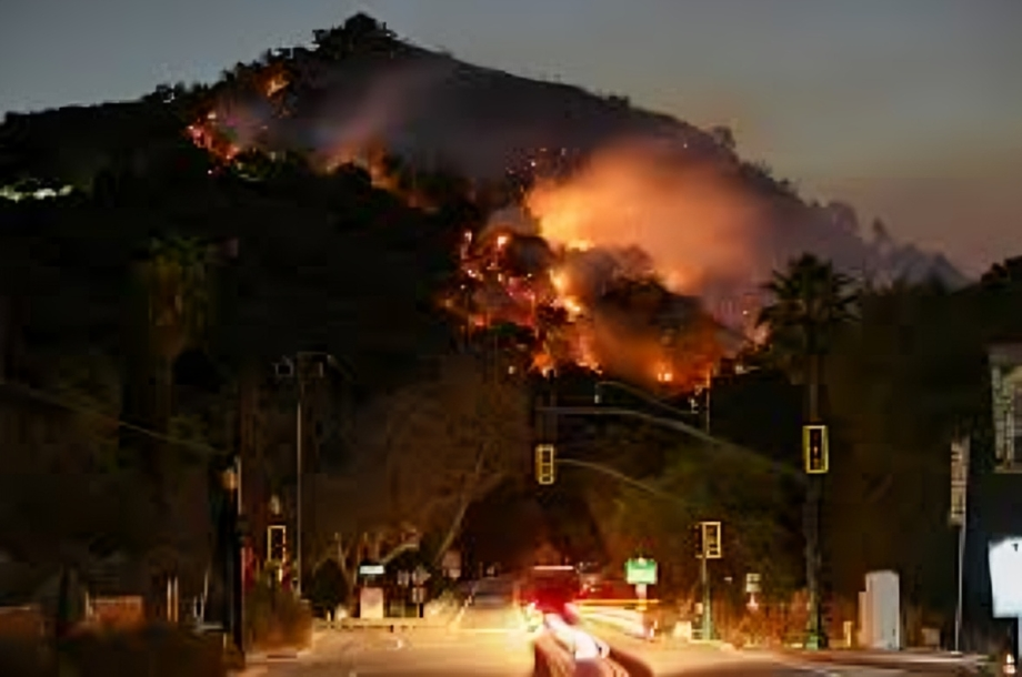 2025 Los Angeles Fire Crisis