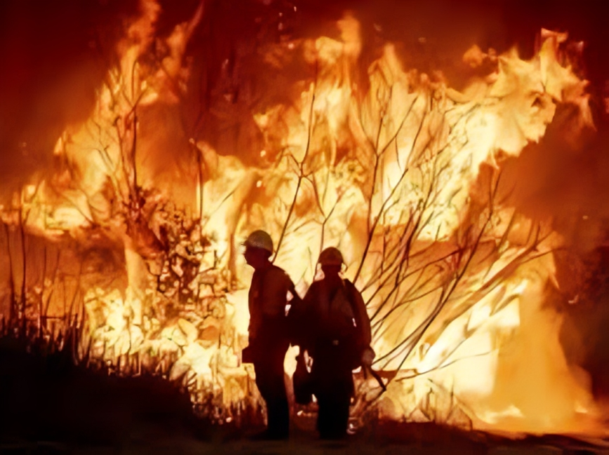 2025 Los Angeles Fire Crisis